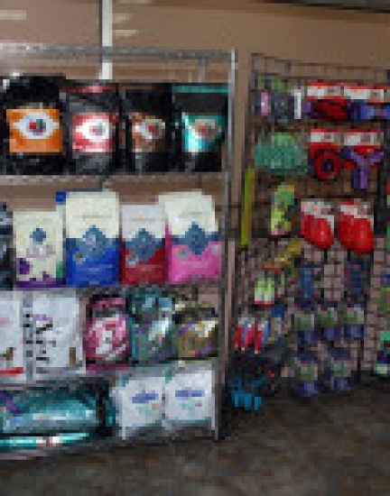 Shelves filled with assorted pet food bags and toys in a store display.