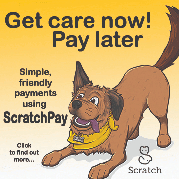 Illustration of a dog wearing a collar with text promoting payment options for pet care using ScratchPay.