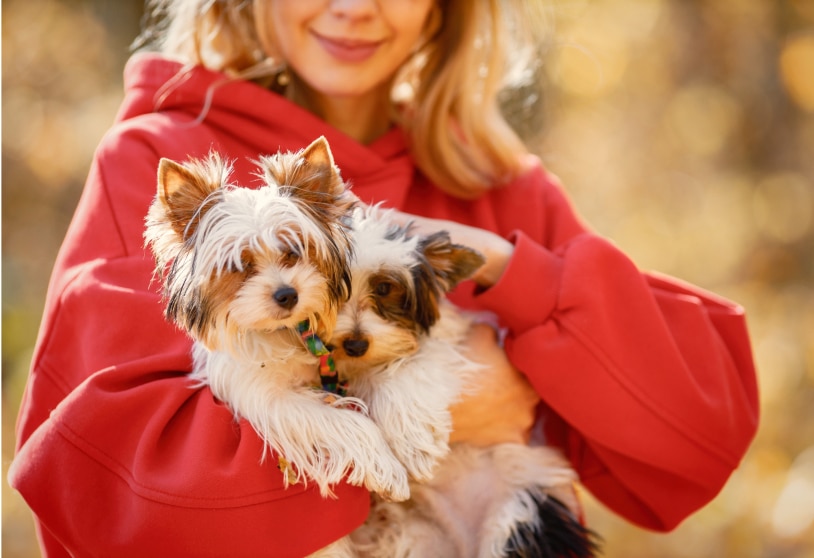 A person in a red hoodie, embodying the spirit of senior wellness care, holds two small, fluffy dogs outdoors.